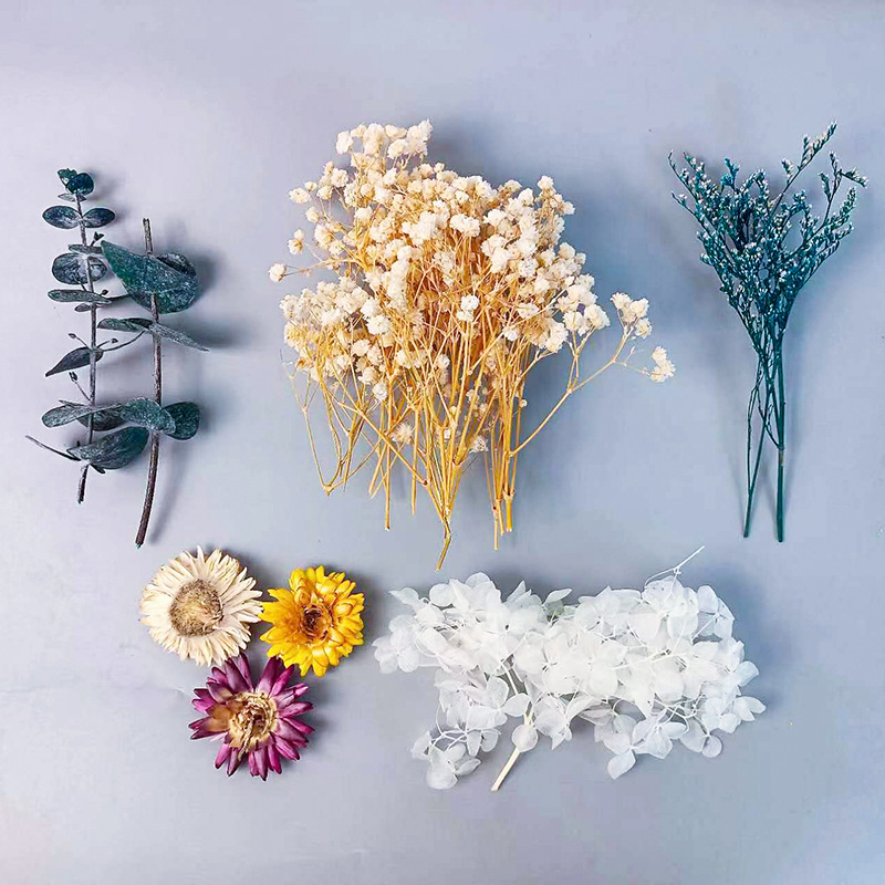 다양한 건조 꽃 세트 1팩 DIY 공예 홈 웨딩 장식  - Embellish Craft 리뷰 및 가격